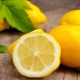  Lemon Syrup Cooking Tips