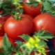  Annie F1 tomato: characteristic and yield of variety