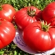  Tomato Bull's heart: distinctive features and subtleties of cultivation