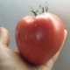  Tomato Miracle of the Earth: advantages, disadvantages and characteristics