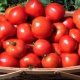  Tomato Irina F1: variety description and cultivation rules