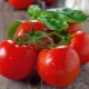  Tomato Little Red Riding Hood: description of the variety and rules of cultivation