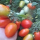  Tomato Lel: characteristic and description of the variety