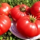  Tomato Bear's Paw: Variety Characteristics and Cultivation Rules