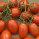  Tomato Roma: what is special and how to grow?