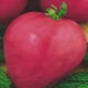  Pink heart tomato: description and characteristics of the variety