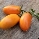  Banana Tomatoes: Description and Cultivation Rules