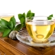  Green tea: composition, properties for the human body, benefit and harm