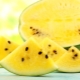  Yellow watermelons: the best varieties and cultivation features