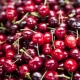 What is the difference between cherry and cherry?