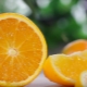  What to cook from oranges?