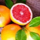  Grapefruit: tulajdonságok és alkalmazás