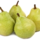  Pear Williams Pakham: characteristics, fit and care