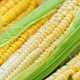  How to freeze corn?