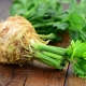  How to grow and maintain a good harvest of celery root?