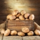  What potato varieties are suitable for different regions of the country?