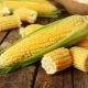  Calorie and nutritional value of corn