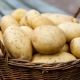  Potatoes: composition, benefit and harm