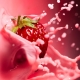 Strawberries with milk: cooking recipes, benefit and harm