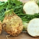  Celery root: the benefits and harm, delicious recipes