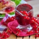  The best recipes blanks of red currant for the winter