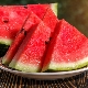  The best varieties of watermelon