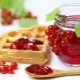  The best options for making delicious red currant jam