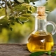  Olive oil: calorie and nutritional value of the product