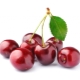  Features of the use of cherries when losing weight