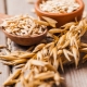  Oats for cleansing the body: the benefits and harm, scrub recipes and use