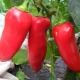  Pepper's ox ear: features of the variety and agricultural technology