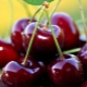  The benefits and harms of cherries for women's health