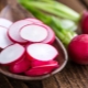  Garden radish: calorie, benefits and harm of vegetables