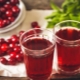  Cherry Juice: Composition and Cooking Tips