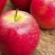  Cripps Pink alma: jellemzők és mezőgazdasági technológia