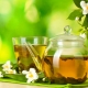  Green tea: benefits and harm for women