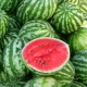  Watermelon: calorie, benefit and harm, advice on choosing and interesting facts