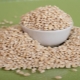  Current GOST of barley grits in the Russian Federation