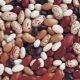  Beans: calorie and nutritional value