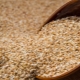  Buckwheat split: definition and properties, cooking recipes