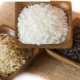  Characteristics of rice according to GOST