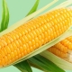 How to cook corn in a slow cooker?