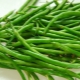  Caloric value of green beans of different types: what it depends on