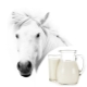  Mare's milk: the properties of the product, the content of useful substances and the rules of intake