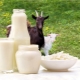  Goat milk: the benefits and possible harm to the woman's body