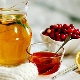 Honey treatment: the benefits and harm effective recipes