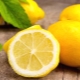  Lemon during pregnancy: benefits, harm and rules of use