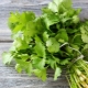  Is it possible to freeze cilantro for the winter and how to do it correctly?