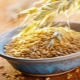 Uncrushed Oatmeal: Benefits, Harm, and Recipes