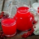  Features of preparing red currant juice for winter